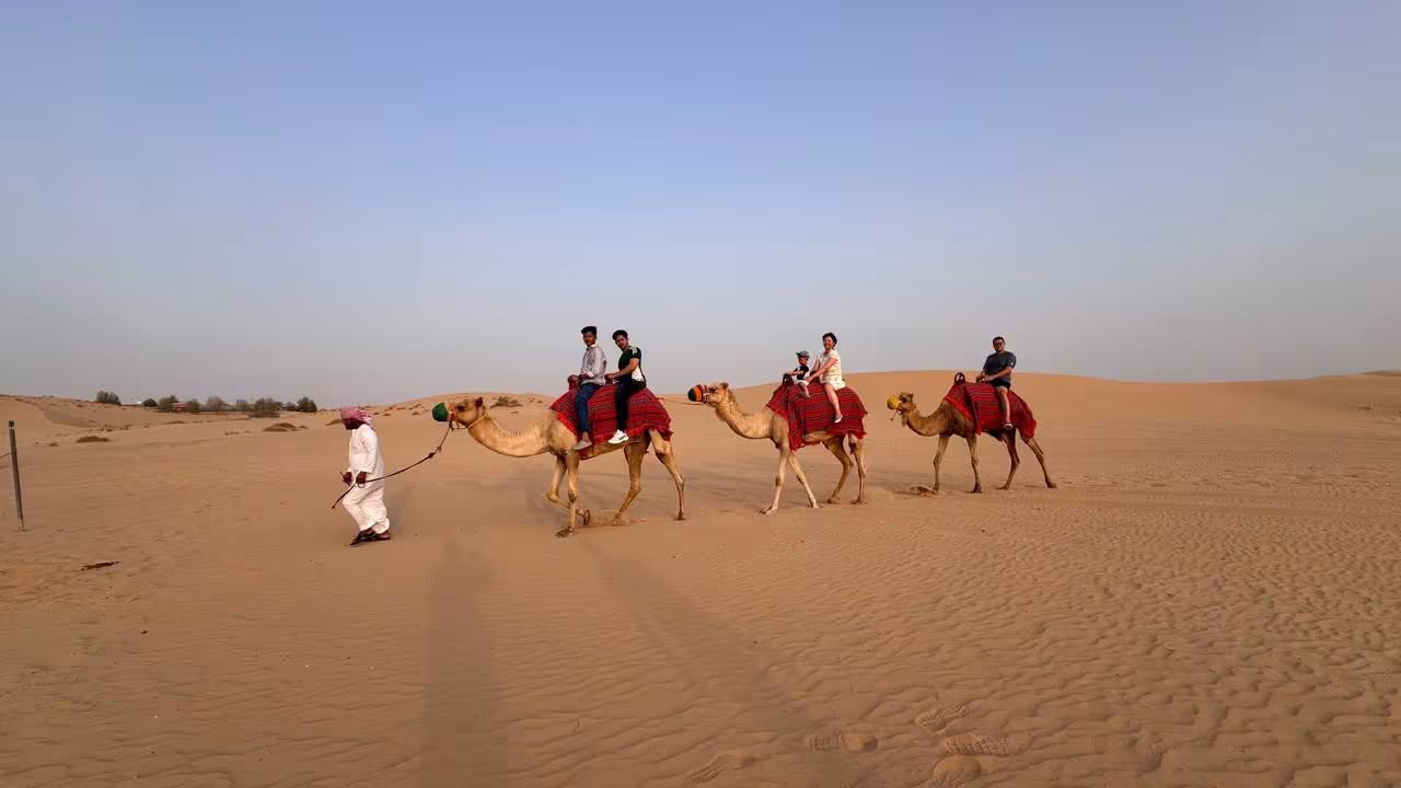 Camel Ride 