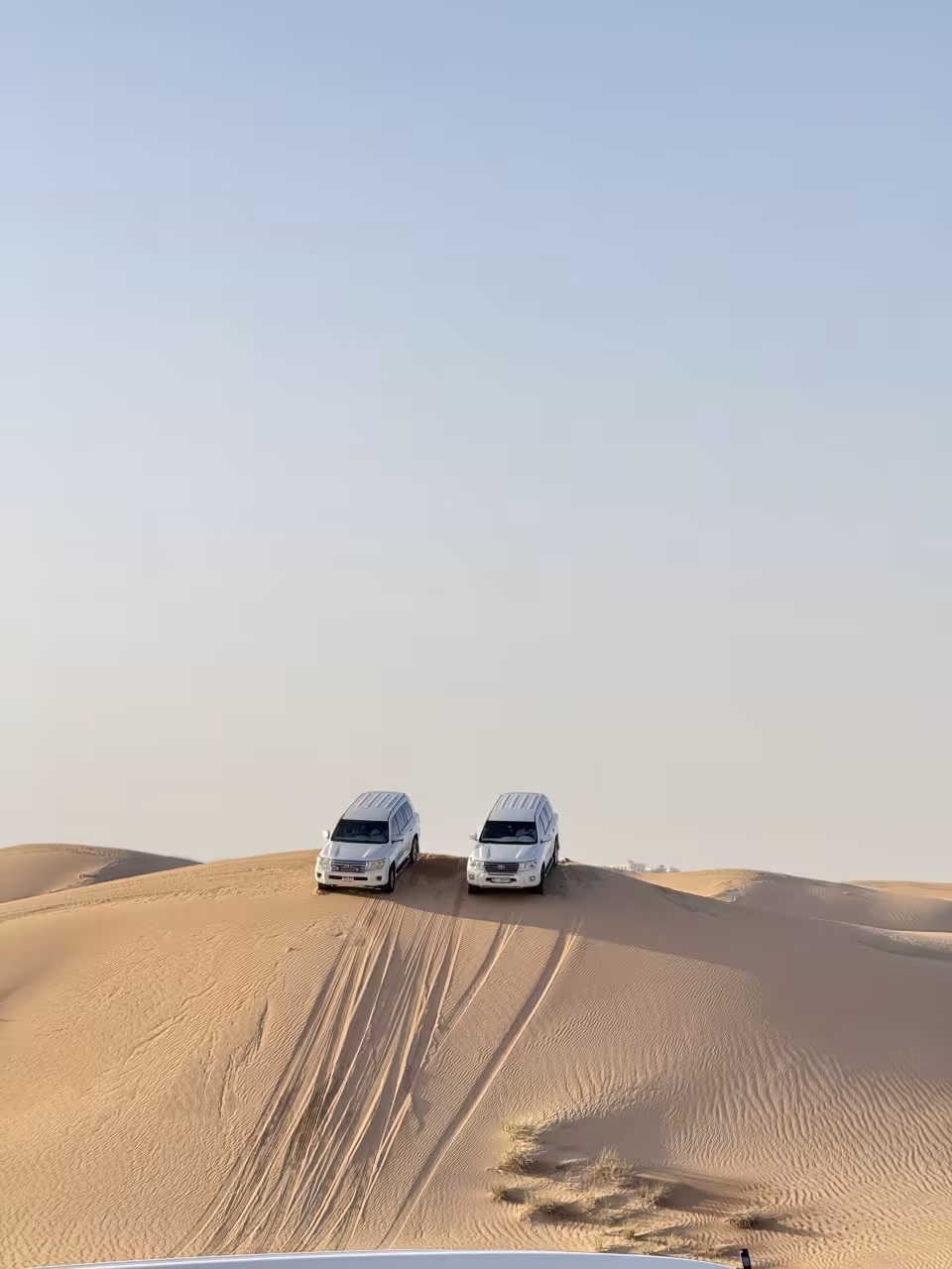 Drive Desert 