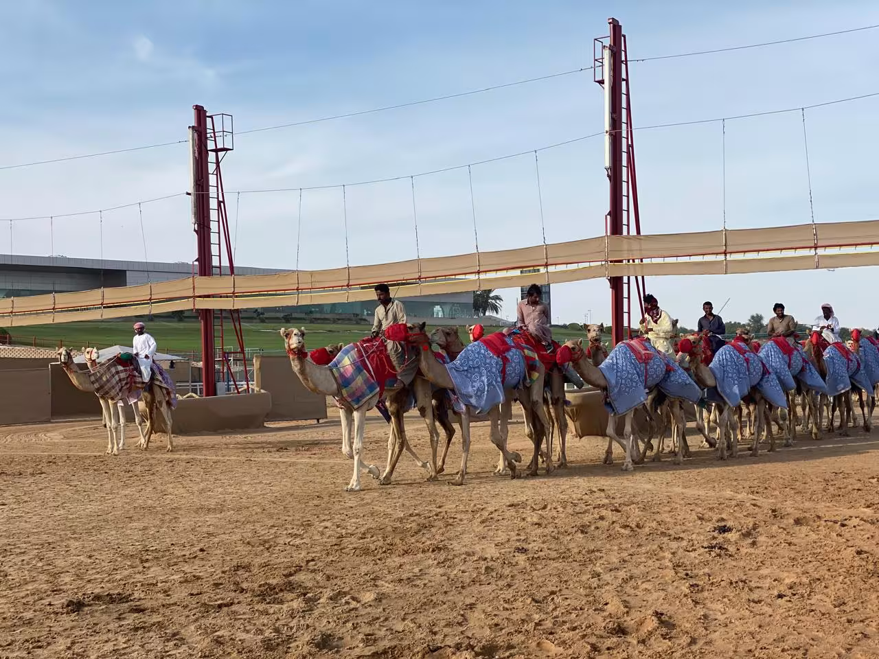 Camel Market